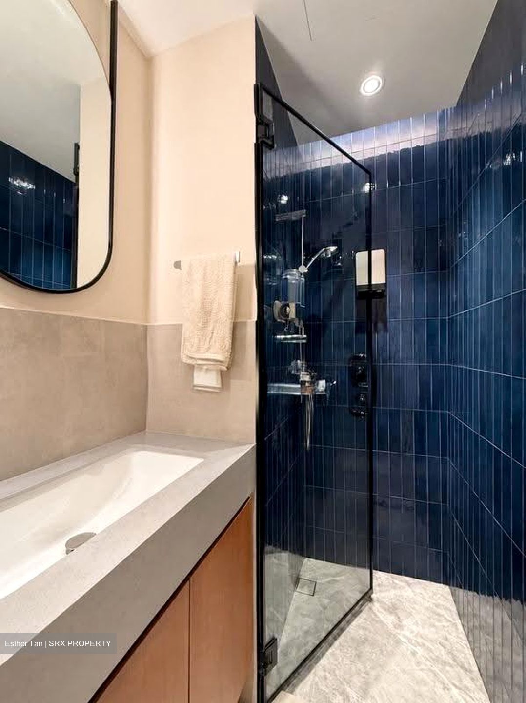 Sanctuary Green (D15), Condominium #628901561